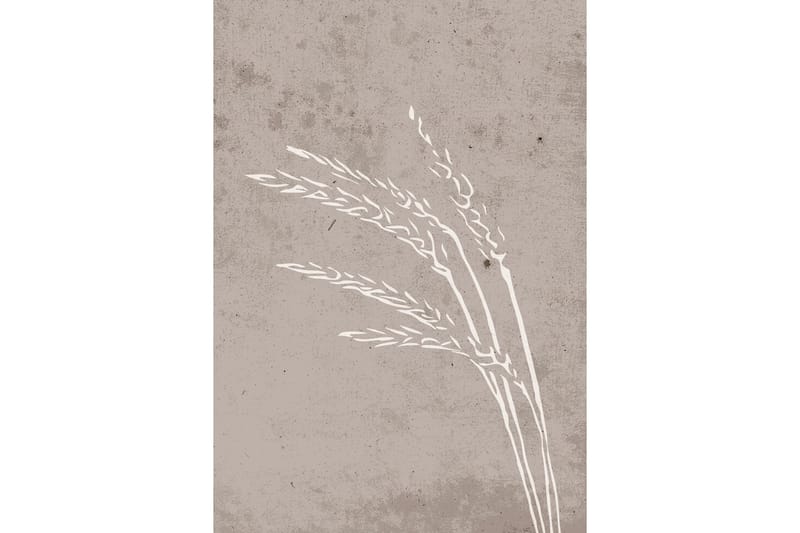 Poster Seeds 70x100 cm - Beige - Posters & plakater