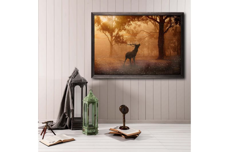 Deer At Dawn Foto Orange/Brun - 70x50 cm - Posters & plakater - Dyreplakater