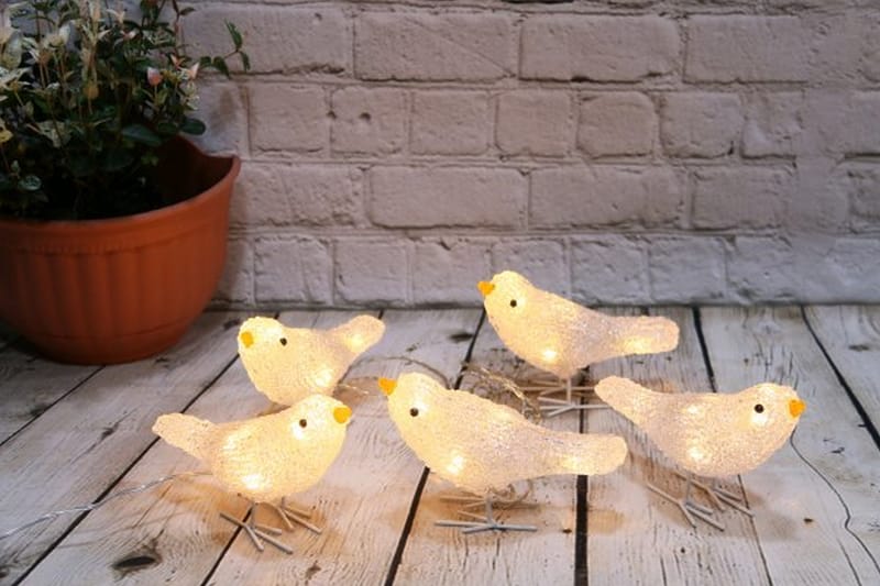Fugle 5-sæt LED komplet - Pixie Design - Julebelysning - Øvrig julebelysning
