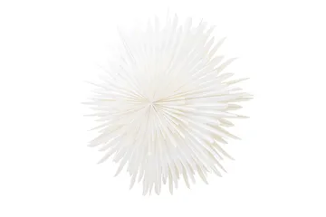 Sälen Adventsstjerne / Julelampe 100 cm - Hvid - Belysning - Julebelysning - Julestjerne