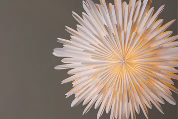 Sälen Adventsstjerne / Julelampe 60 cm - Hvid - Belysning - Julebelysning - Julestjerne