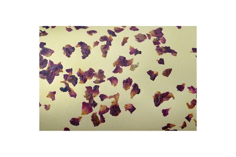 Gulvlampe Eglo Castuera Guld med Rosenblad - Belysning - Lamper & indendørsbelysning - Soveværelse lampe