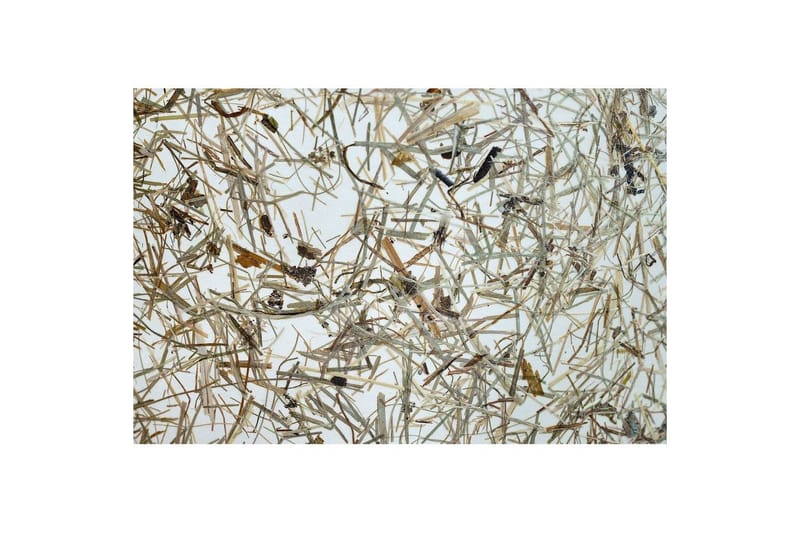 Gulvlampe Eglo Hontongas Brun - Belysning - Lamper & indendørsbelysning - Soveværelse lampe