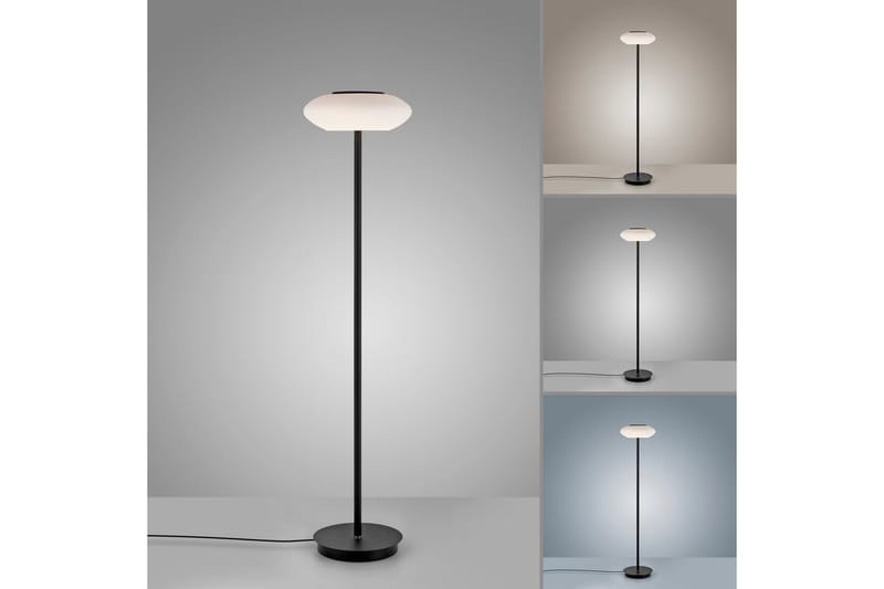 Gulvlampe Q-Etienne - 35x152x35 cm - Belysning - Lamper & indendørsbelysning - Soveværelse lampe