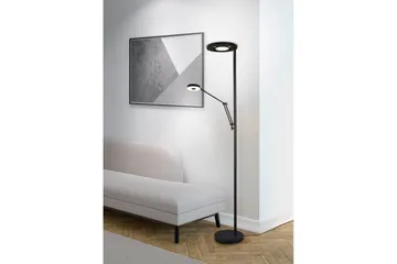 Gulvlampe TRIO Barrie Matsort - Matsort - Belysning - Lamper & indendørsbelysning - Gulvlampe & standerlampe - Toarmet gulvlampe