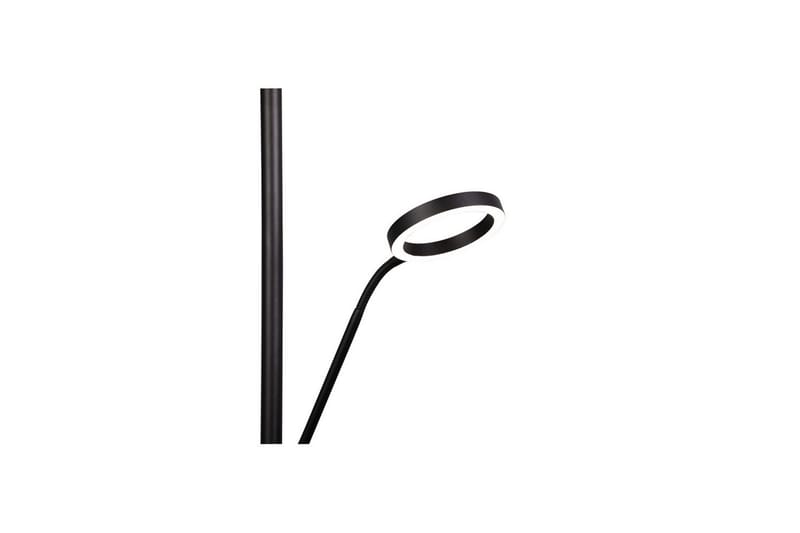 Gulvlampe TRIO Willis Matsort - Matsort - Belysning - Lamper & indendørsbelysning - Soveværelse lampe