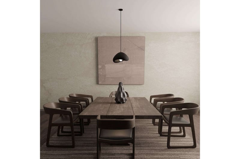 Brio Pendellampe - Sort - Belysning - Lamper & indendørsbelysning - Loftlampe - Pendellamper & hængelamper