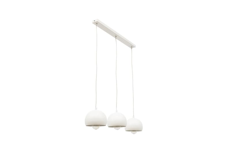 Callide Loftlampe, Sort