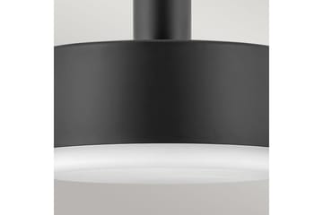 Cedric Hinkley Loftslampe - Belysning - Lamper & indendørsbelysning - Loftlampe - Pendellamper & hængelamper