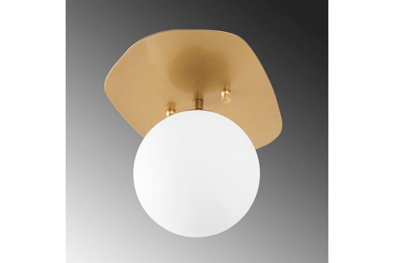 Loftlampe Ariofield (20 x 25 x 25 cm) Rany - Rany - Belysning - Lamper & indendørsbelysning - Loftlampe - Plafond