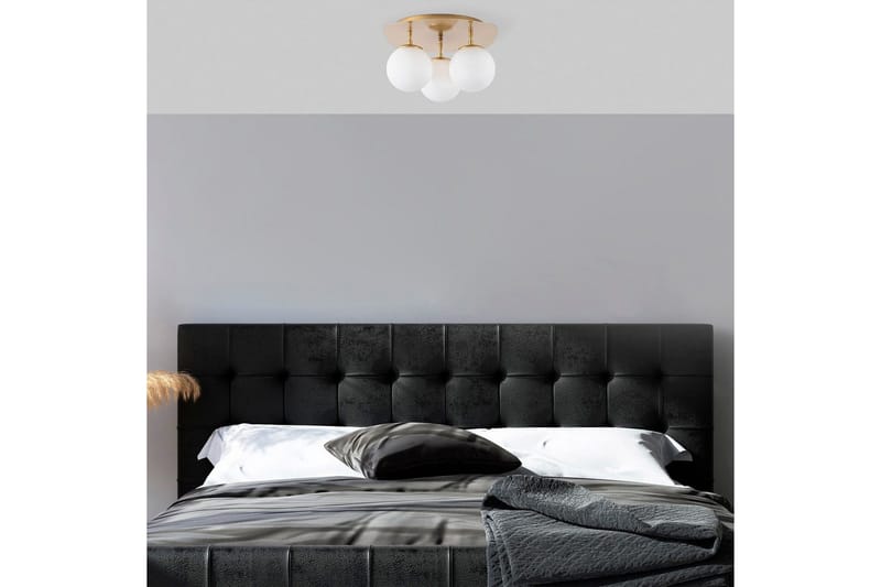 Loftlampe Ariofield Tredobbelt Rany - Rany - Belysning - Lamper & indendørsbelysning - Loftlampe - Plafond