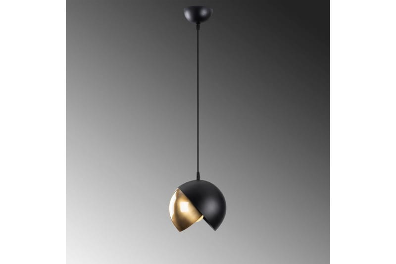 Loftlampe Dalenor Sort / Rany Enkelt stik - Enkelt stik - Belysning - Lamper & indendørsbelysning - Loftlampe - Pendellamper & hængelamper