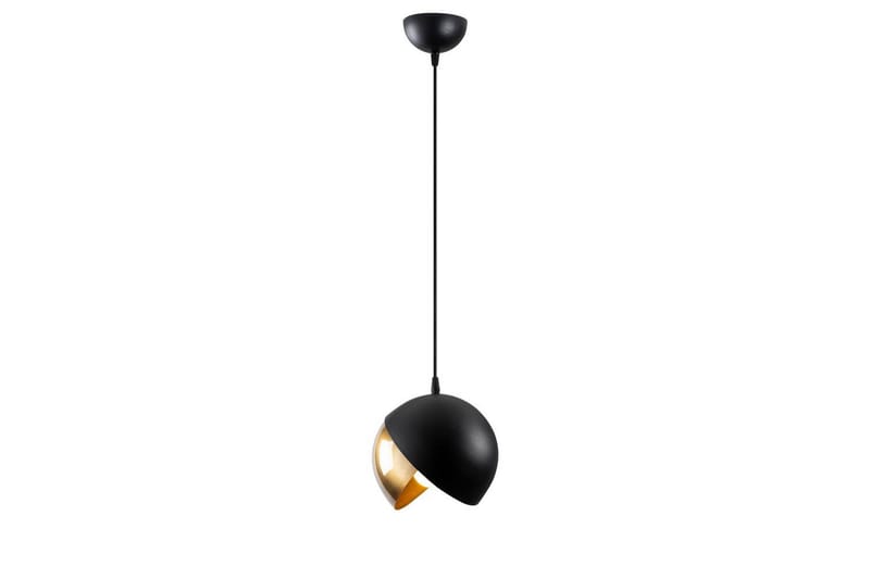 Loftlampe Dalenor Sort / Rany Enkelt stik - Enkelt stik - Belysning - Lamper & indendørsbelysning - Loftlampe - Pendellamper & hængelamper