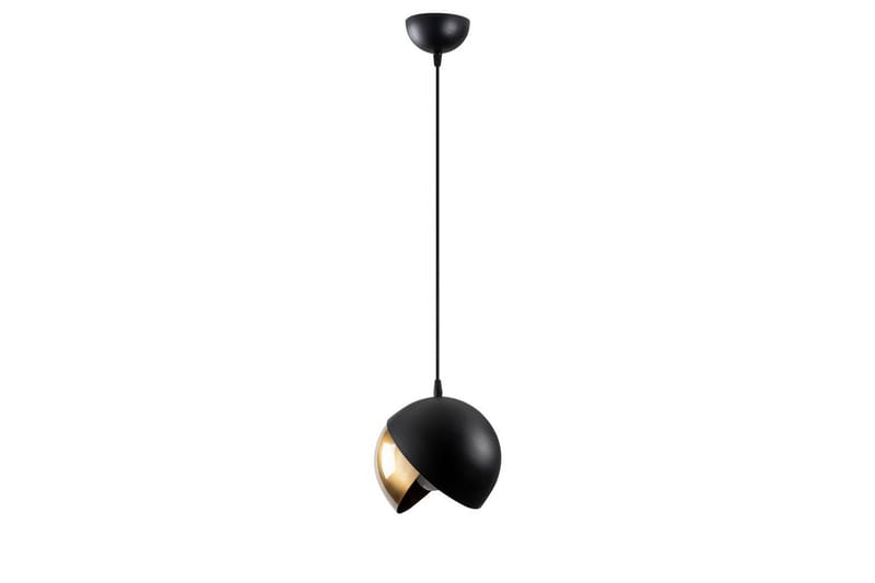 Loftlampe Dalenor Sort / Rany Enkelt stik - Enkelt stik - Belysning - Lamper & indendørsbelysning - Loftlampe - Pendellamper & hængelamper