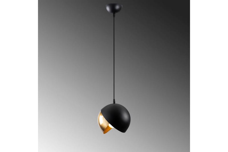 Loftlampe Dalenor Sort / Rany Enkelt stik - Enkelt stik - Belysning - Lamper & indendørsbelysning - Loftlampe - Pendellamper & hængelamper