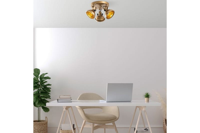 Loftlampe Desten Rany - Rany - Belysning - Lamper & indendørsbelysning - Loftlampe - Plafond