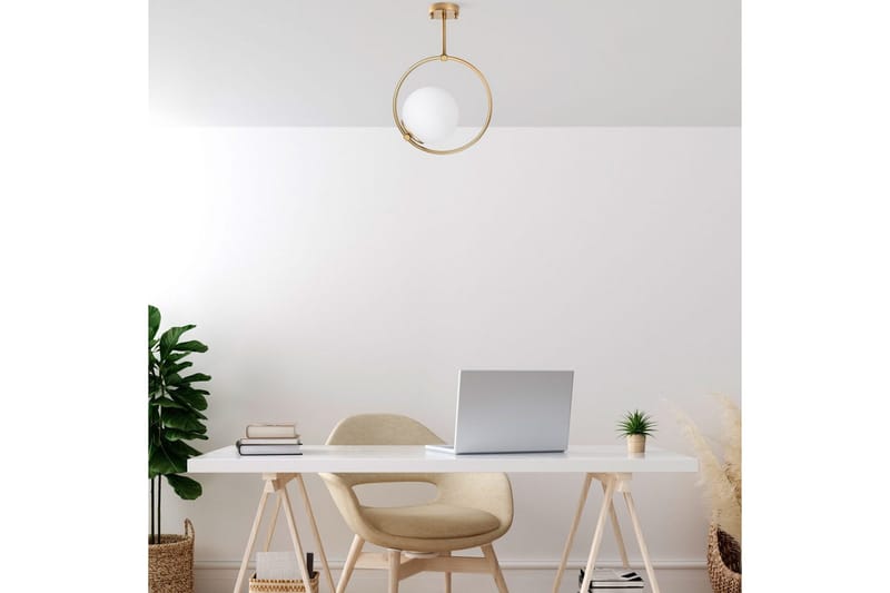 Loftlampe Dolcer Rany - Rany - Belysning - Lamper & indendørsbelysning - Loftlampe - Pendellamper & hængelamper