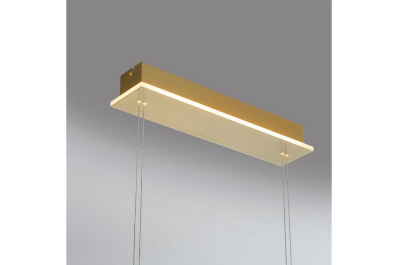 Loftlampe Q-Etienne - 20x200x108,5 cm, Messing Mat - Belysning - Lamper & indendørsbelysning - Loftlampe - Pendellamper & hængelamper