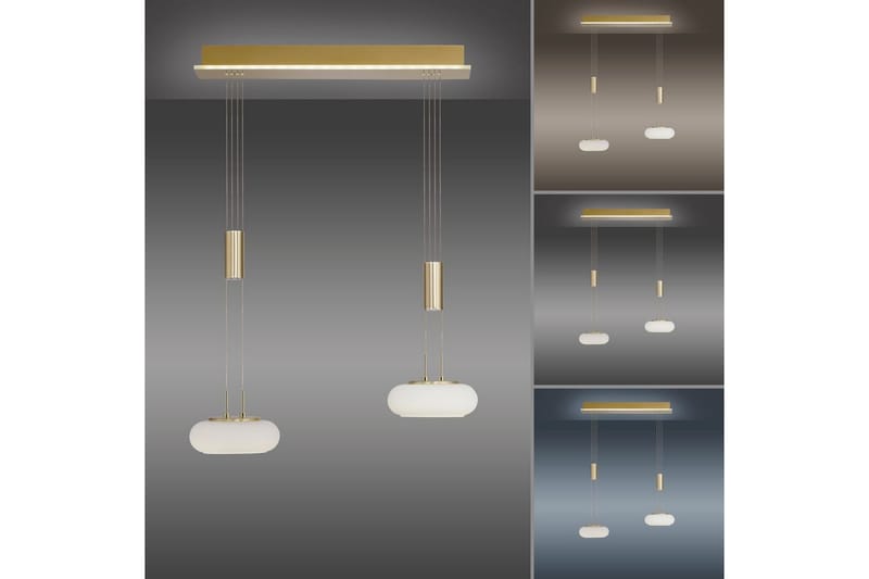 Loftlampe Q-Etienne - 20x200x65 cm, Messing Mat - Belysning - Lamper & indendørsbelysning - Loftlampe - Pendellamper & hængelamper