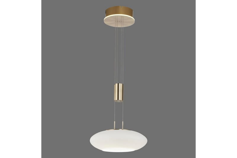 Loftlampe Q-Etienne - 35x200x35 cm, Messing Mat - Belysning - Lamper & indendørsbelysning - Loftlampe - Pendellamper & hængelamper