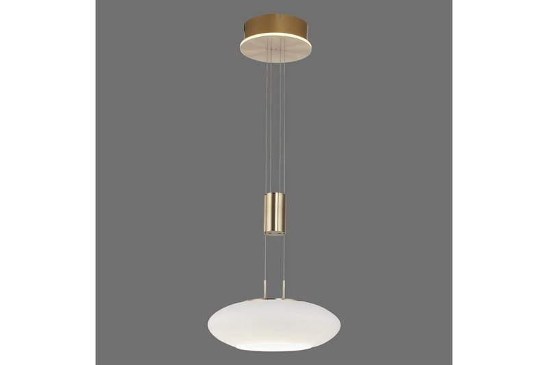 Loftlampe Q-Etienne - 35x200x35 cm, Messing Mat - Belysning - Lamper & indendørsbelysning - Loftlampe - Pendellamper & hængelamper
