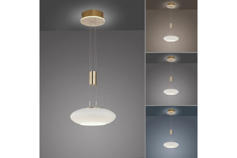 Loftlampe Q-Etienne - 35x200x35 cm, Messing Mat - Belysning - Lamper & indendørsbelysning - Loftlampe - Pendellamper & hængelamper