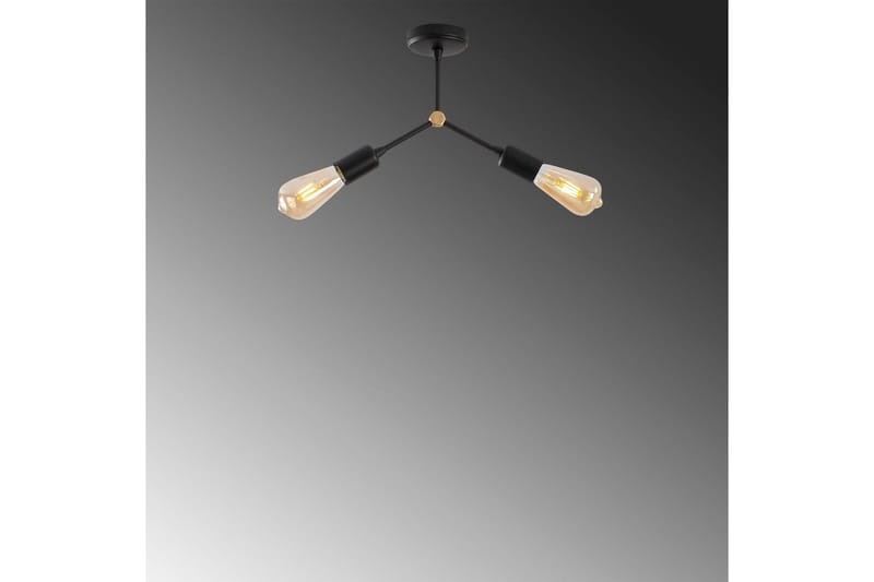 Loftlampe Vilsa Sort - Sort - Belysning - Lamper & indendørsbelysning - Loftlampe - Plafond