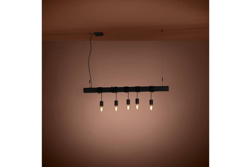 Loftpendel Eglo Townshend-B Sort 5 Lamper - 5 Lamper - Belysning - Lamper & indendørsbelysning - Loftlampe - Pendellamper & hængelamper