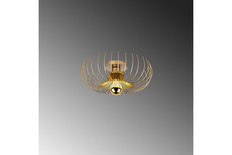 Lysekrone Sadorte Rany - 36 x 36 x 12 cm - Belysning - Lamper & indendørsbelysning - Loftlampe - Plafond