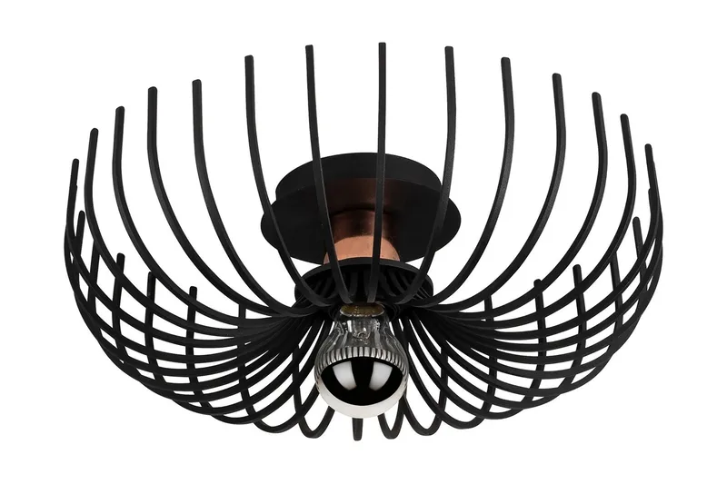 Noor Loftlampe, Sort