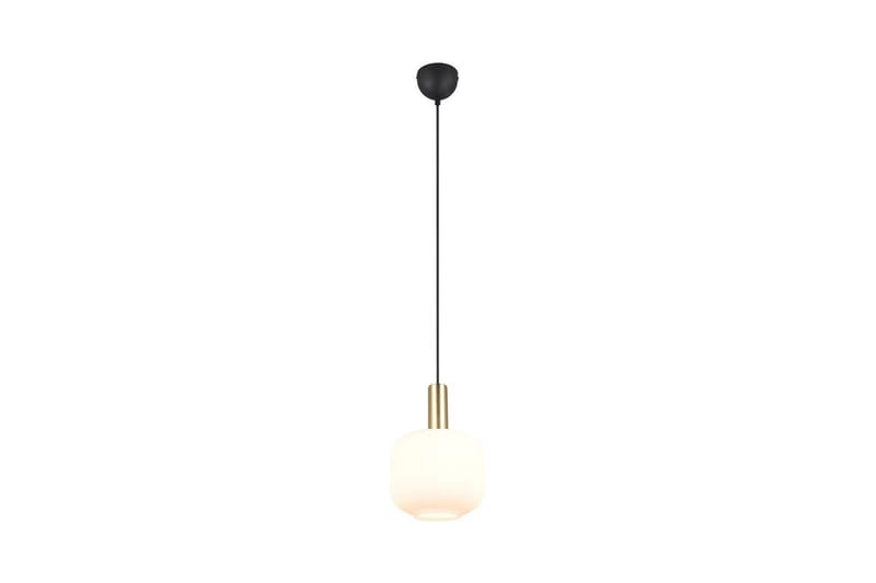 Pendel TRIO Diva 1-dele, Matmessing/hvid - 1-dele, Matmessing/hvid - Belysning - Lamper & indendørsbelysning - Loftlampe - Pendellamper & hængelamper