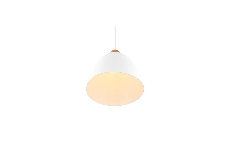Pendel TRIO Jagger Mat hvid - Mat hvid - Belysning - Lamper & indendørsbelysning - Loftlampe - Pendellamper & hængelamper