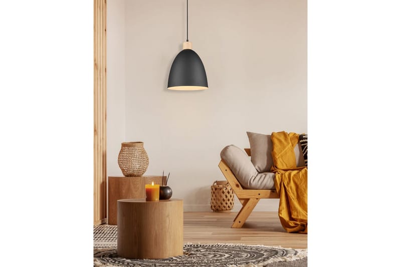 Pendel TRIO Jagger Matsort - Matsort - Belysning - Lamper & indendørsbelysning - Loftlampe - Pendellamper & hængelamper