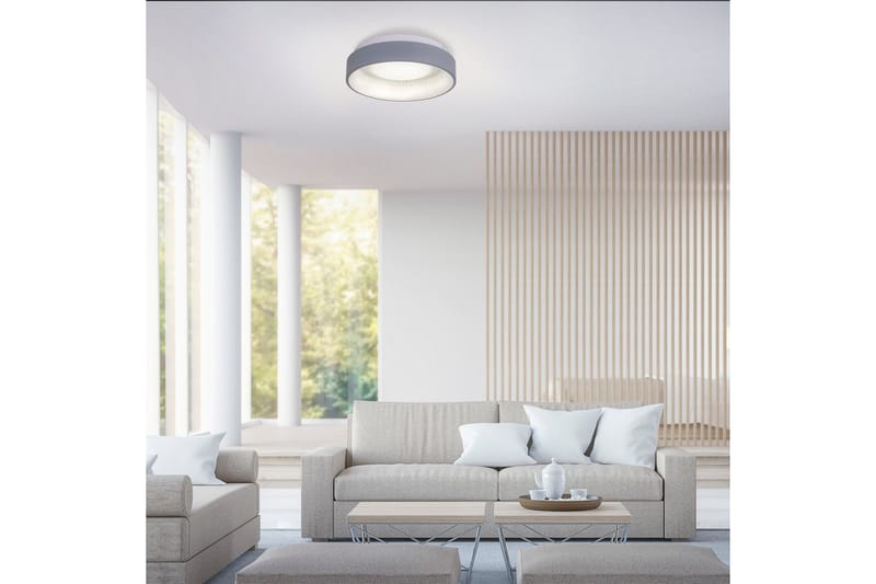 DANTE Loftlampe, grå - Belysning - Lamper & indendørsbelysning - Loftlampe - Pendellamper & hængelamper