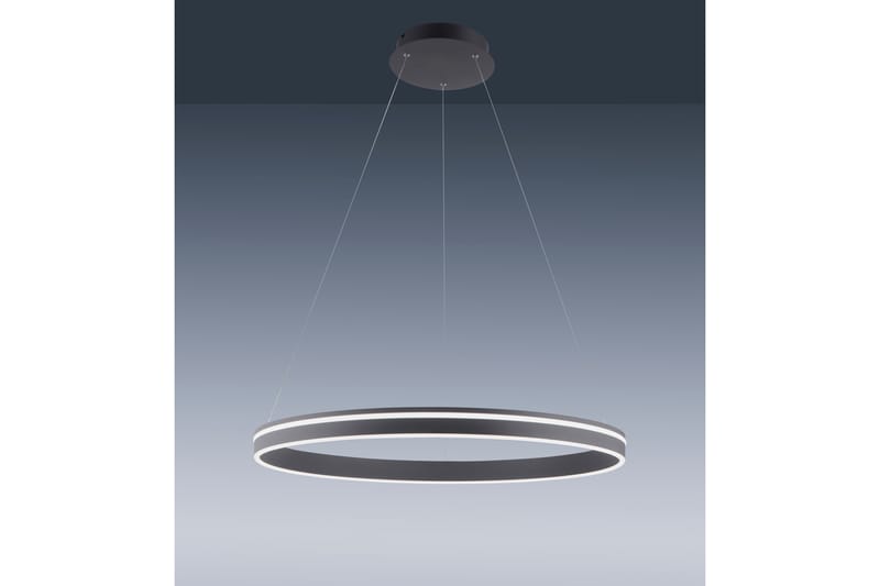 Q-VITO Plafond , antracit - Belysning - Lamper & indendørsbelysning - Loftlampe - Pendellamper & hængelamper