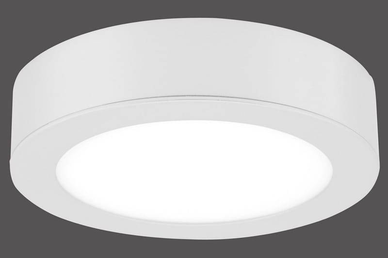 Oskar Tagbelysning Medium - Hvid/Sort - Belysning - Lamper & indendørsbelysning - Loftlampe - Plafond
