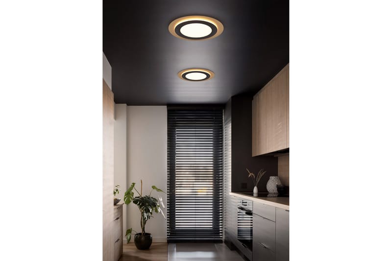 Trio Lighting Morgan LED Loftlampe 45 cm Matsort/Guld - Belysning - Lamper & indendørsbelysning - Loftlampe - Plafond