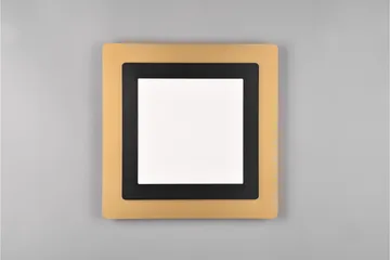 Trio Lighting Morgan LED Loftlampe 45x45 cm Matsort/Guld - Belysning - Lamper & indendørsbelysning - Loftlampe - Plafond