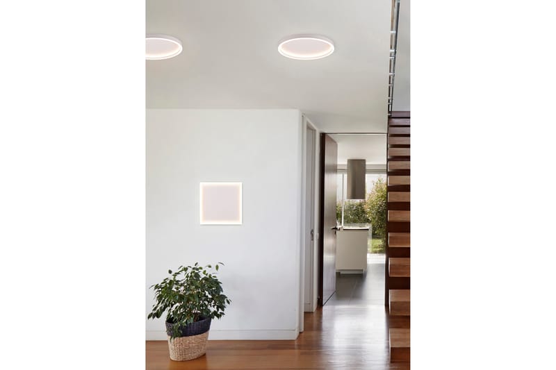 Trio Lighting Rotonda LED Taklampe Kvadratisk Matt Hvit - Belysning - Lamper & indendørsbelysning - Loftlampe - Plafond