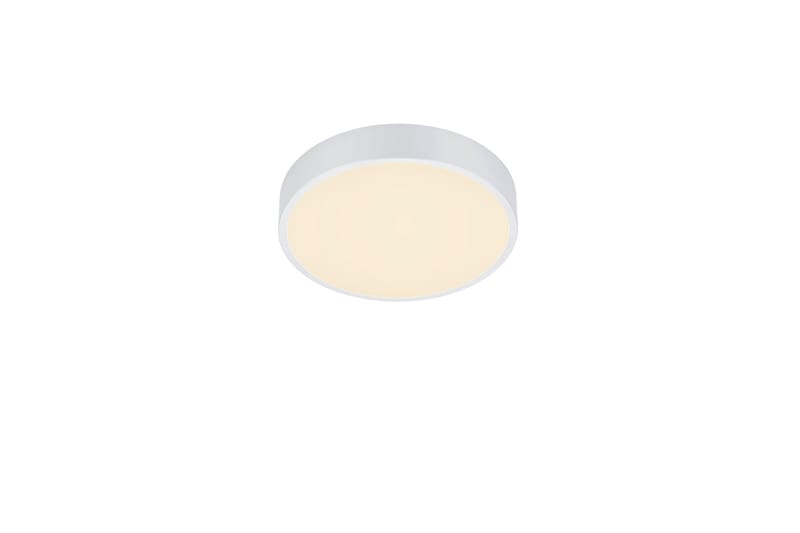 Trio Lighting Waco LED plafond 30 cm mat hvid - Trio Lighting - Belysning - Lamper & indendørsbelysning - Loftlampe - Plafond