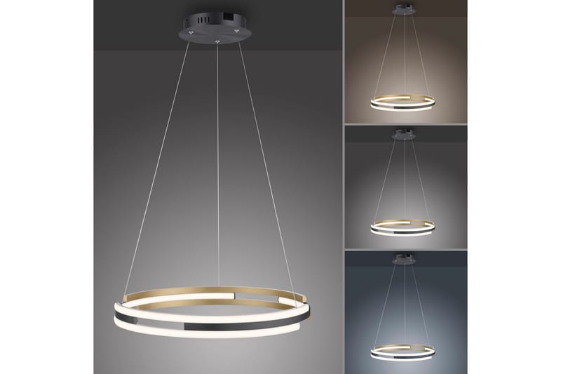 Q-Beluga Paul Neuhaus Loftslampe - Belysning - Lamper & indendørsbelysning - Loftlampe - Pendellamper & hængelamper