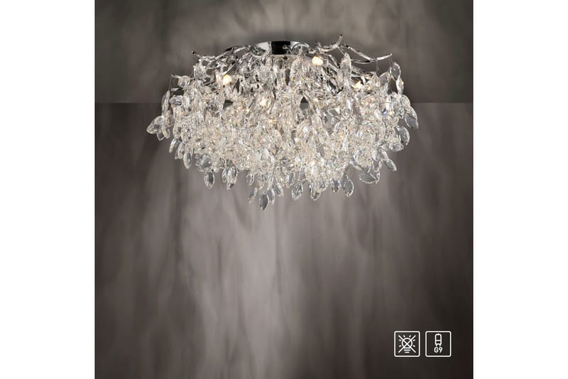 Ricicle Paul Neuhaus Loftslampe - Belysning - Lamper & indendørsbelysning - Loftlampe - Lysekroner