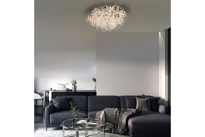 Ricicle Paul Neuhaus Loftslampe - Belysning - Lamper & indendørsbelysning - Loftlampe - Lysekroner