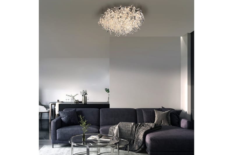 Ricicle Paul Neuhaus Loftslampe - Belysning - Lamper & indendørsbelysning - Loftlampe - Lysekroner