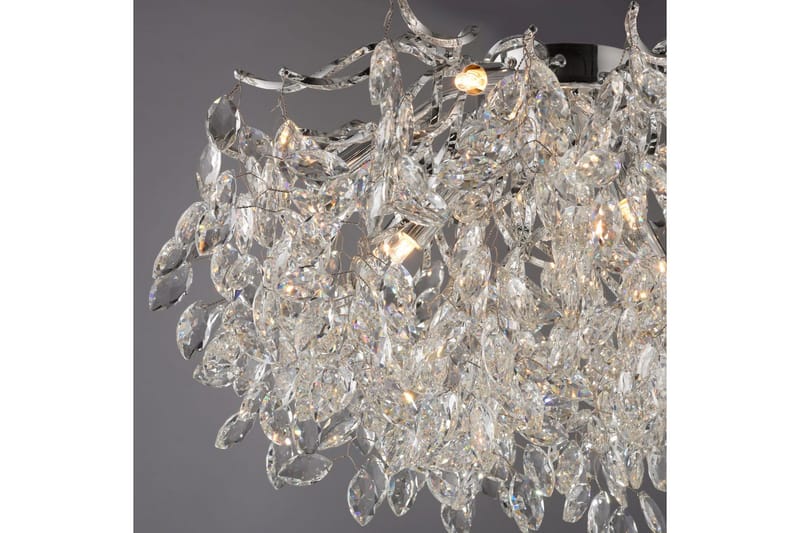 Ricicle Paul Neuhaus Loftslampe - Belysning - Lamper & indendørsbelysning - Loftlampe - Lysekroner