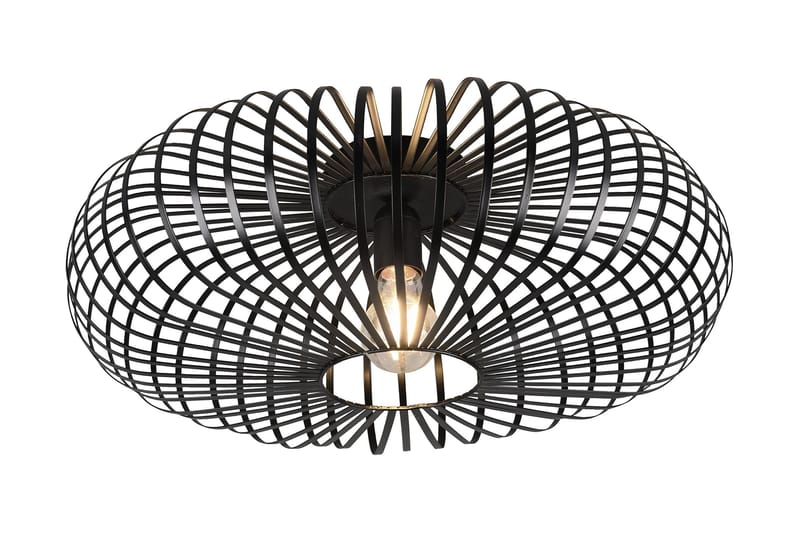 Trio Lighting Johann plafond E27 50 cm matsort, undefined