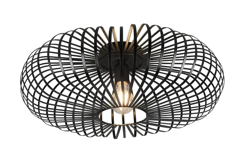 Trio Lighting Johann plafond E27 50 cm matsort, undefined