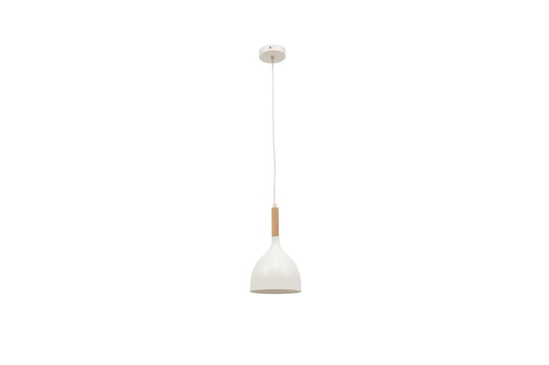 Woldes Loftlampe, Sort
