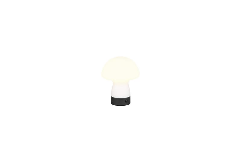 Bordlampe TRIO Dooley Mat hvid - Mat hvid - Belysning - Lamper & indendørsbelysning - Sengelampe - Sengelampe bord