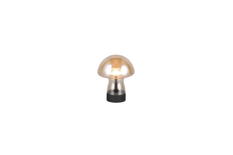 Bordlampe TRIO Dooley Rav - Rav - Belysning - Lamper & indendørsbelysning - Sengelampe - Sengelampe bord